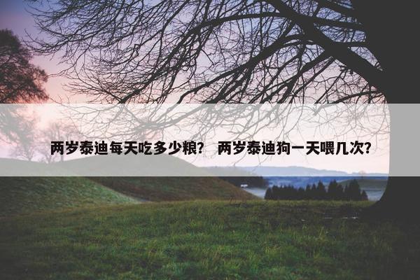 两岁泰迪每天吃多少粮？ 两岁泰迪狗一天喂几次？