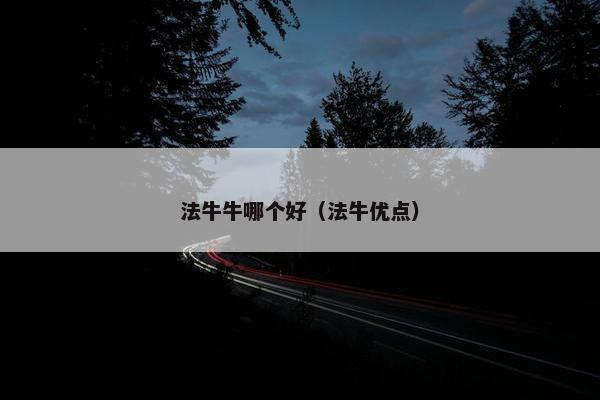 法牛牛哪个好（法牛优点）