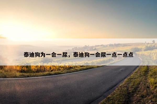 泰迪狗为一会一尿，泰迪狗一会尿一点一点点