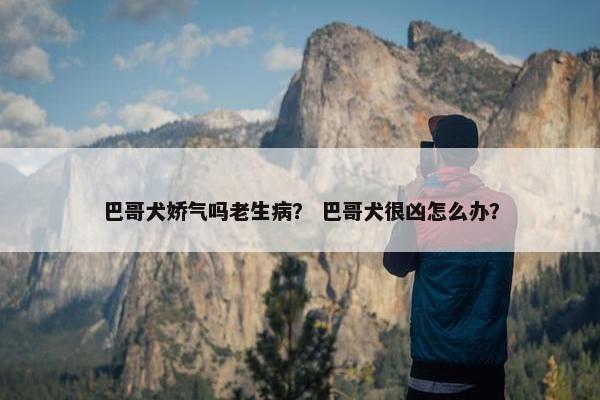 巴哥犬娇气吗老生病？ 巴哥犬很凶怎么办？