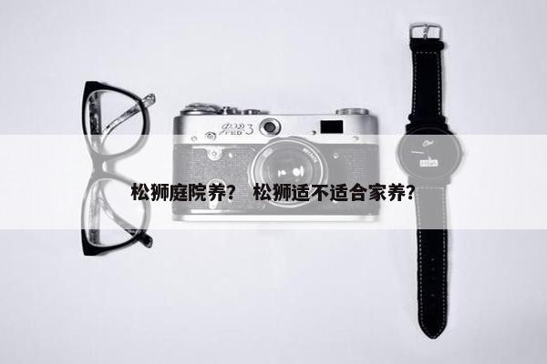 松狮庭院养？ 松狮适不适合家养？