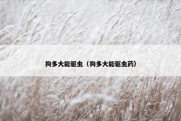 狗多大能驱虫（狗多大能驱虫药）