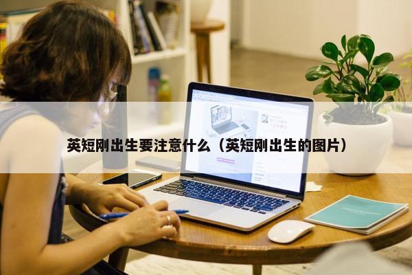 英短刚出生要注意什么（英短刚出生的图片）