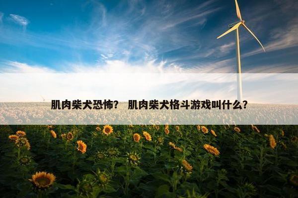 肌肉柴犬恐怖？ 肌肉柴犬格斗游戏叫什么？