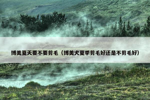 博美夏天要不要剪毛（博美犬夏季剪毛好还是不剪毛好）