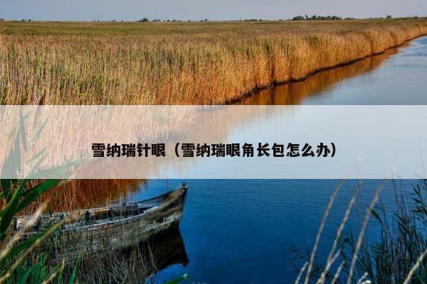 雪纳瑞针眼（雪纳瑞眼角长包怎么办）