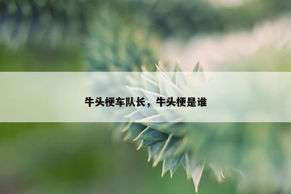 牛头梗车队长，牛头梗是谁