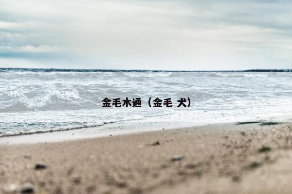 金毛木通（金毛 犬）