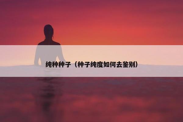 纯种种子（种子纯度如何去鉴别）