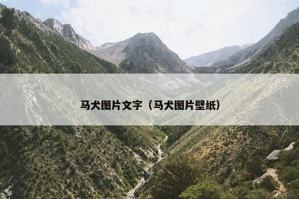 马犬图片文字（马犬图片壁纸）