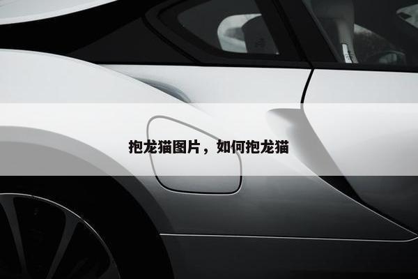 抱龙猫图片，如何抱龙猫