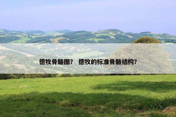 德牧骨骼图？ 德牧的标准骨骼结构？