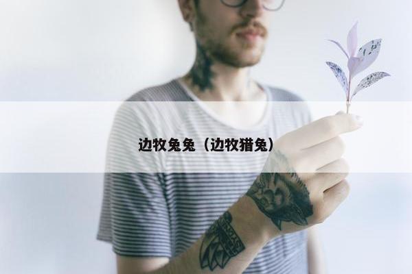 边牧兔兔（边牧猎兔）