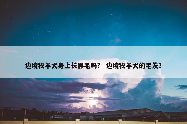 边境牧羊犬身上长黑毛吗？ 边境牧羊犬的毛发？
