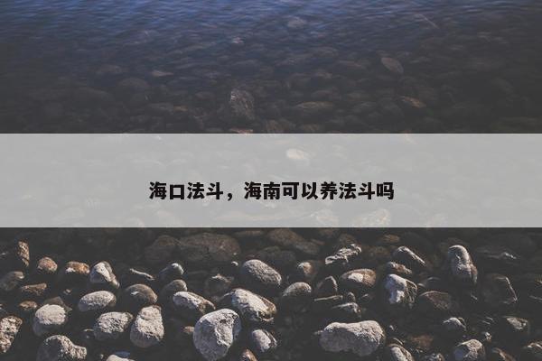 海口法斗，海南可以养法斗吗
