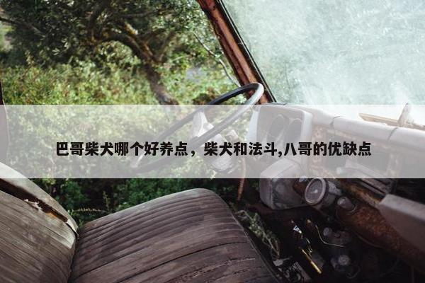 巴哥柴犬哪个好养点，柴犬和法斗,八哥的优缺点