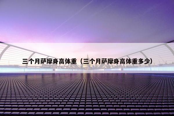 三个月萨摩身高体重（三个月萨摩身高体重多少）