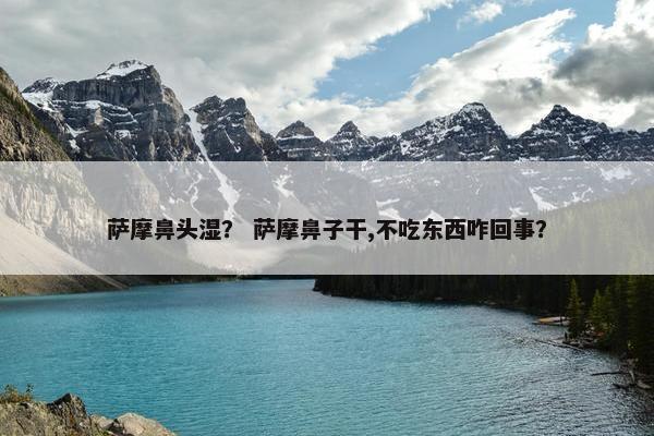萨摩鼻头湿？ 萨摩鼻子干,不吃东西咋回事？
