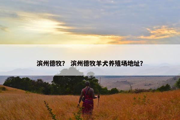 滨州德牧？ 滨州德牧羊犬养殖场地址？