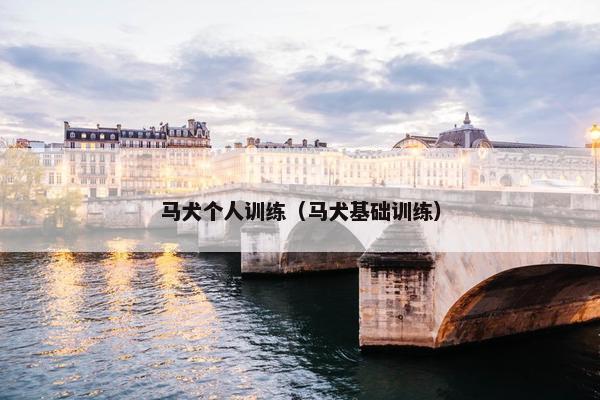 马犬个人训练（马犬基础训练）
