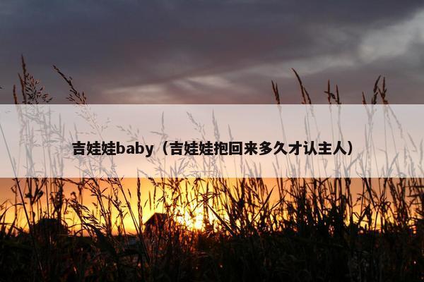 吉娃娃baby（吉娃娃抱回来多久才认主人）