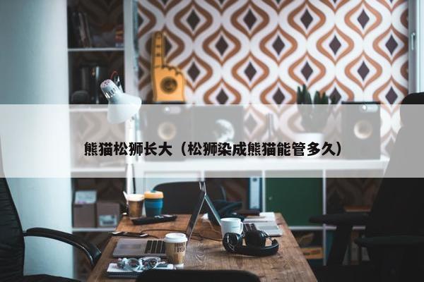 熊猫松狮长大（松狮染成熊猫能管多久）