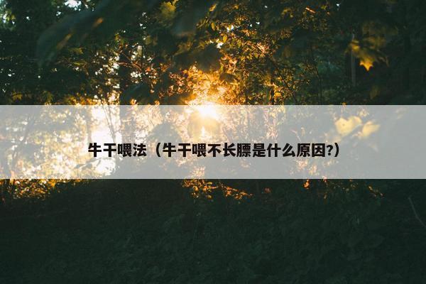 牛干喂法（牛干喂不长膘是什么原因?）
