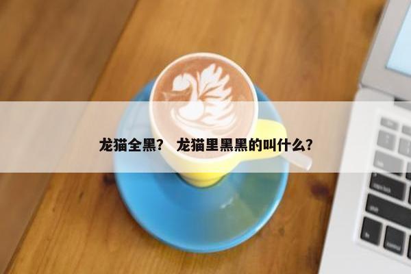 龙猫全黑？ 龙猫里黑黑的叫什么？