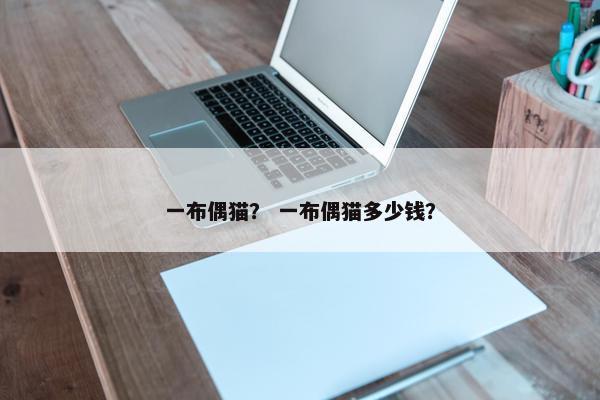 一布偶猫？ 一布偶猫多少钱？