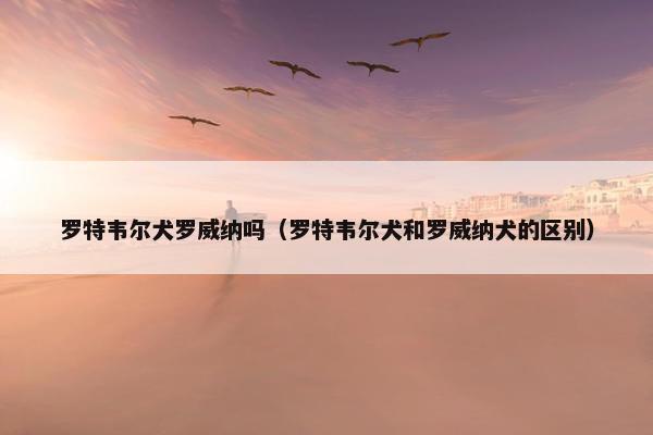罗特韦尔犬罗威纳吗（罗特韦尔犬和罗威纳犬的区别）