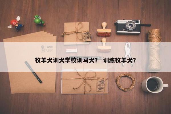 牧羊犬训犬学校训马犬？ 训练牧羊犬？