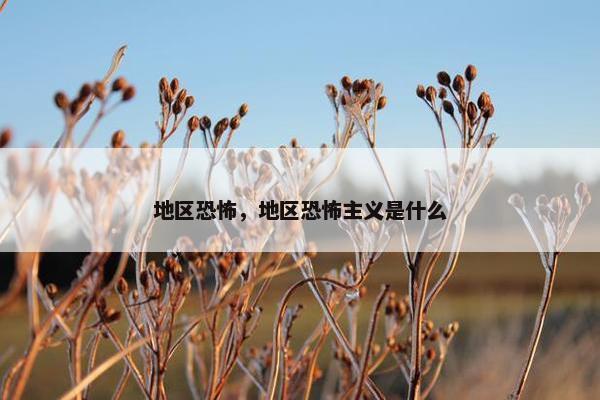 地区恐怖，地区恐怖主义是什么