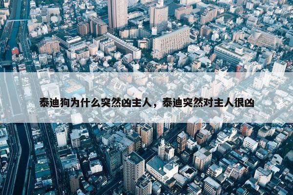 泰迪狗为什么突然凶主人，泰迪突然对主人很凶