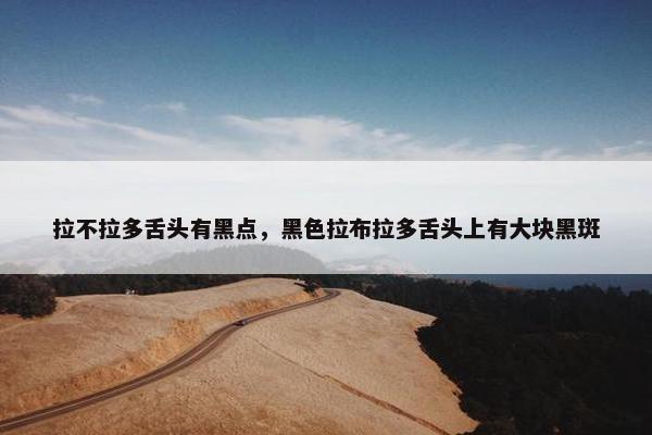 拉不拉多舌头有黑点，黑色拉布拉多舌头上有大块黑斑