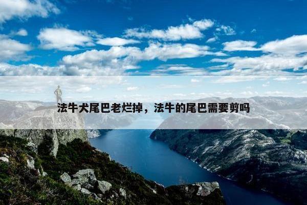 法牛犬尾巴老烂掉，法牛的尾巴需要剪吗