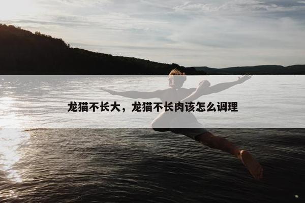 龙猫不长大，龙猫不长肉该怎么调理