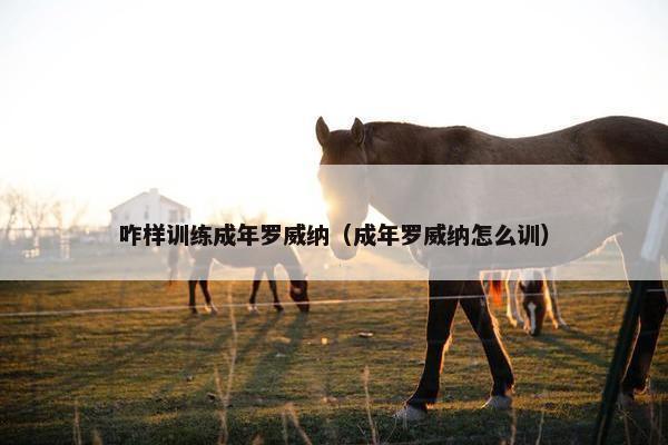 咋样训练成年罗威纳（成年罗威纳怎么训）