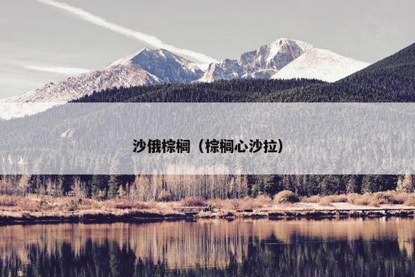 沙俄棕榈（棕榈心沙拉）