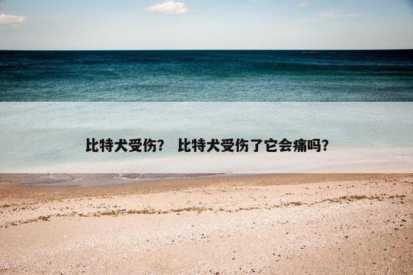 比特犬受伤？ 比特犬受伤了它会痛吗？