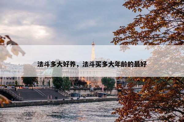 法斗多大好养，法斗买多大年龄的最好