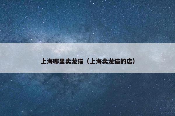 上海哪里卖龙猫（上海卖龙猫的店）