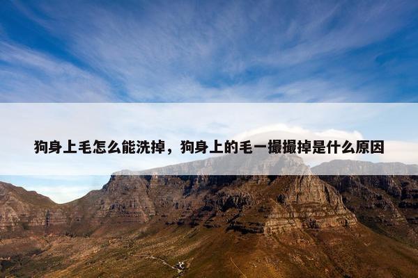 狗身上毛怎么能洗掉，狗身上的毛一撮撮掉是什么原因