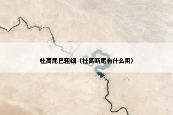 杜高尾巴粗细（杜高断尾有什么用）