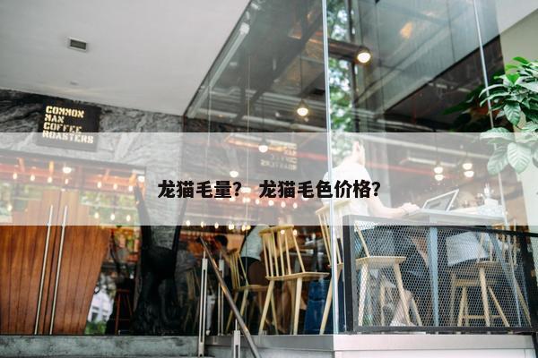 龙猫毛量？ 龙猫毛色价格？