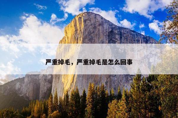 严重掉毛，严重掉毛是怎么回事