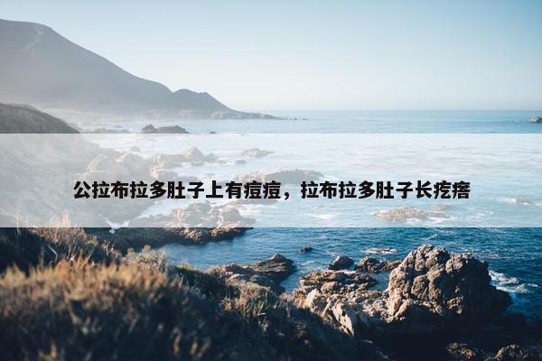 公拉布拉多肚子上有痘痘，拉布拉多肚子长疙瘩