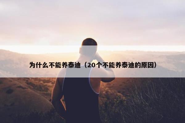 为什么不能养泰迪（20个不能养泰迪的原因）