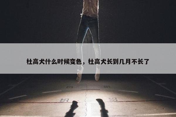 杜高犬什么时候变色，杜高犬长到几月不长了