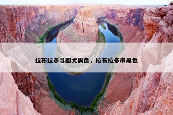 拉布拉多寻回犬黑色，拉布拉多串黑色
