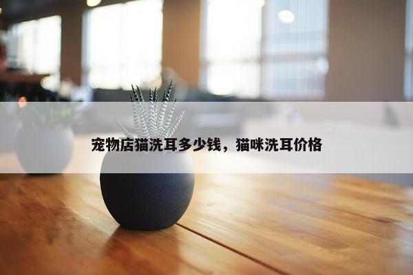 宠物店猫洗耳多少钱，猫咪洗耳价格